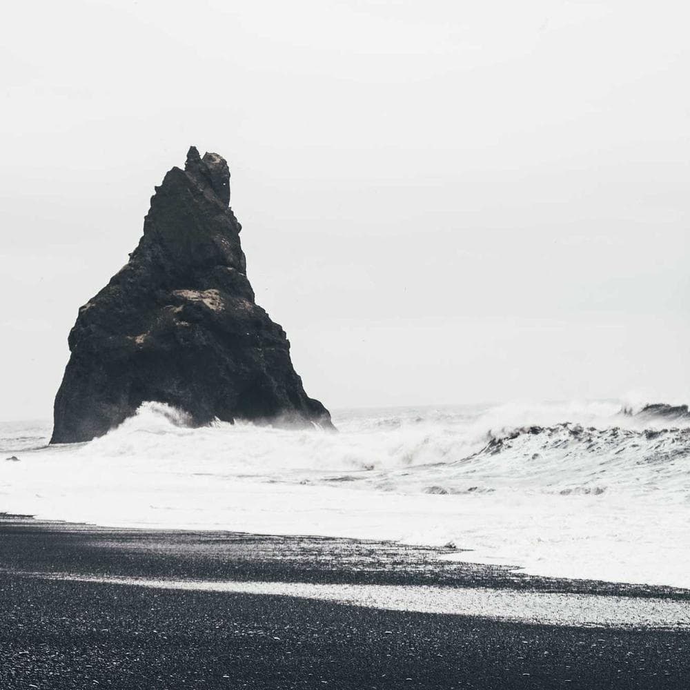 Recycled Wooden Pants